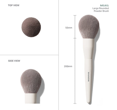 M161 Large Rounded Powder Brush