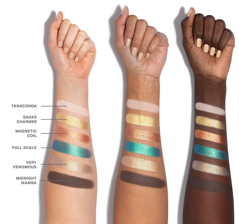 ChromaPlus 6-Pan Eyeshadow Palette - Image 11 out of 47
