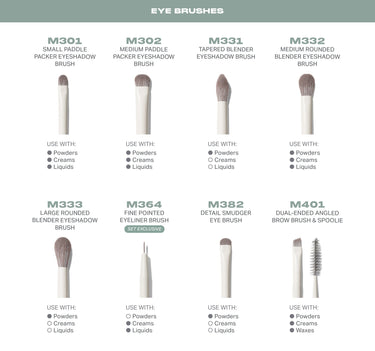 Eye brushes with names and uses on a white background