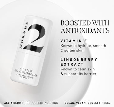 All A Blur Pore-Perfecting Stick - Product Ingredient Infographic